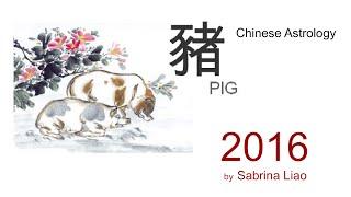 2016 Forecast - Pig (Chinese Astrology by Sabrina Liao)