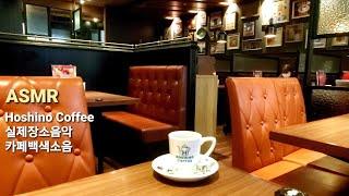 ASMR cafe [Hoshino Coffee] real sound 호시노 커피. 복고풍 도쿄카페 백색소음 공부 휴식 星乃珈琲店 White noise Tokyo