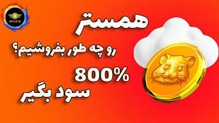 همستر رو چه جوری بفروشیم؟| از همستر 800% سود بگیر