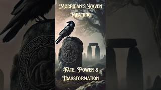 Morrigan’s Raven Meaning | Power, Fate & Transformation #celtic #oracle