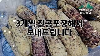 강원도 삼순이네 산삼농장 흑찰옥수수 찐옥수수 진공포장된 햇옥수수 냉동옥수수 더운여름 영양간식 다이어트식품 아이들간식 농장직거래로 만나보세요 산지직송 옥수수