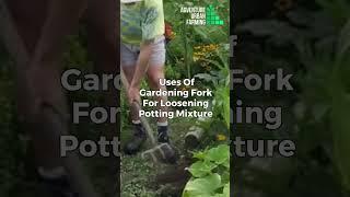 Best garden fork of 2023 | What are garden forks?