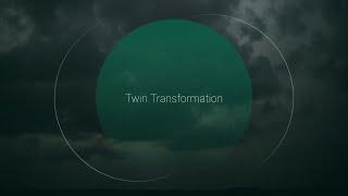 Twin Transformation: Recognising synergy between digital and sustainable change initiatives