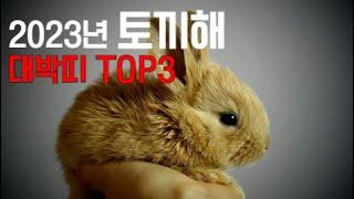 2023년 토끼해 대박띠 TOP3는?