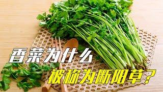 香菜为什么被称为断阳草？香菜也叫芫荽，是种中药#香菜#农作物#菜#科普