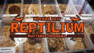 Рептилиум 2017 (REPTILIUM) Выставка-продажа экзотических животных