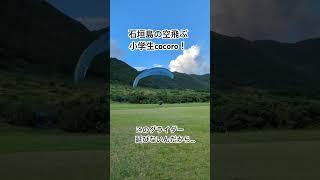 石垣島の空飛ぶ小学生cocoro！真似しちゃダメなランディング…#石垣島 #石垣島パラグライダー #パラグライダー #スカイアドベンチャーうーまくぅ