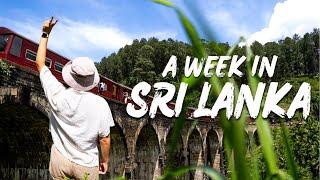 Why You NEED to Visit SRI LANKA in 2025! | Our 7 Days Travelling Across Sri Lanka