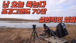 난리 난리 초대박 진행중// 지금 여기는 미쳤습니다#big fishing #붕어낚시