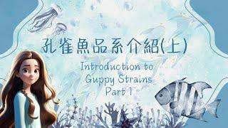 ＜水族趣＞孔雀魚品系介紹（上）｜Introduction to Guppy Strains (Part 1)