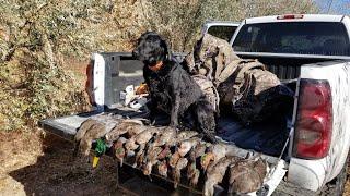 Southern Nebraska Ducks