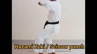 Karate Punches And Strikes/ Hazami Zuki/ Heiko Zuki In Malayalam