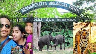 Bannerghatta National Park | Bannerghatta Zoo | Place to Visit in Bnagalore @PriyaRajDiaries