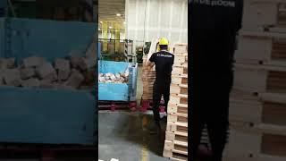 Euro pallets & block pallets