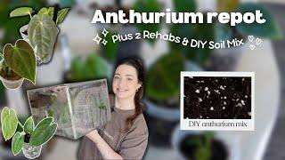 Repot & Chat | New Anthuriums + 2 Rehabs & Making a DIY Soil Mix