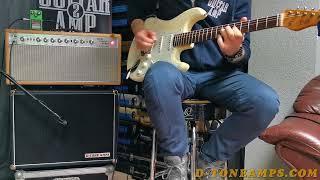 Dumble Steel String Singer style by D-TONE AMPS - the best SSS amp clone