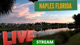 Naples Florida Live Webcam          by RTPNaplesHomes