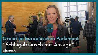 phoenix-Reporterin Claudia Davies zu Debatten im EU-Parlament am 09.10.24