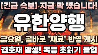 [유한양행 주가전망] [긴급] 미노출-자회사 이뮨온시아, 연내 코스닥 기술특례상장 추진중! 성사면 되면, 기업가치 5~10배 폭증 유력! 연말 최대 호재 떴다! 유한양행완벽분석