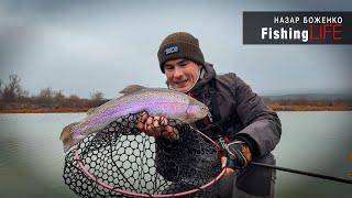 AREA Fishing - Ловля Озерної Форелі В УКРАЇНІ