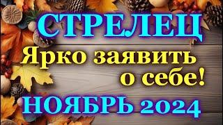 СТРЕЛЕЦ - ТАРО ПРОГНОЗ на НОЯБРЬ 2024 - ПРОГНОЗ РАСКЛАД ТАРО - ГОРОСКОП ОНЛАЙН ГАДАНИЕ