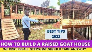 How To Construct a Modern Goat House in 2023 From Start To End