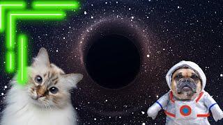 CATS and DOGS go to SPACE- COMEDY