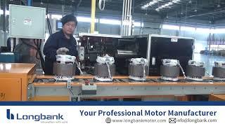 Longbank Motor-Your One Stop Motor Manufacturer(Send Purchase Inquiry on: info@longbank.com)