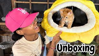 Unboxing With the Cats and Kittens ep.3