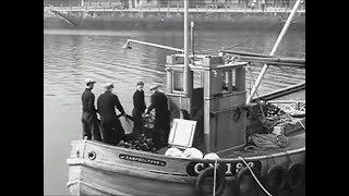 BRS Transport link from Glasgow to Campbeltown, Argyll, Scotland. 1950's