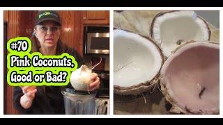 VLOG 70 **Pink Coconuts, Good Or Bad** Raw Day 98 orJANics 50nRaw