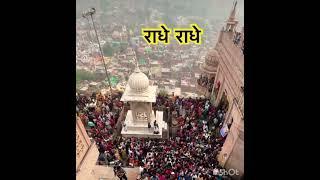 Shri ladli Ji Temple,Barsana,Vrindavan,UP,Bharat#shortsvideo ###