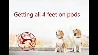 Getting all four feet on the pods