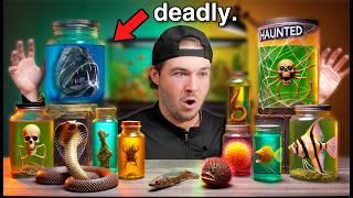 I Bought The Deadliest Sea Creatures Off The Internet...