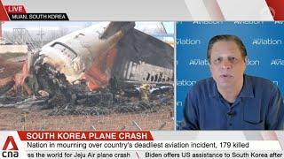 Bird strikes not uncommon, but mystery surrounds missing landing gear in Jeju Air crash: Expert