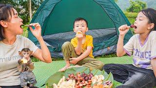 Monkey MiMi Goes Camping for the First Time! Exciting Adventure with Mom and Siblings!