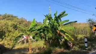 Pha Daeng Waterfall in Mae Sot ️