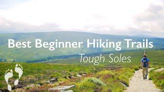 Top 5 Beginner Long Distance Trails  Walking Ireland