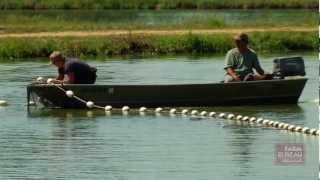 Farm-Raised Catfish