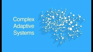 Complex Adaptive Systems