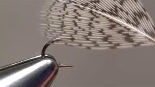 Using Large Feathers on Small Soft Hackles