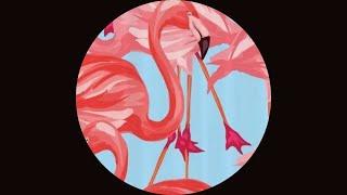 Marcu Rares - Flamingo Around