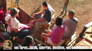 Toros en Monagrillo 3 de octubre