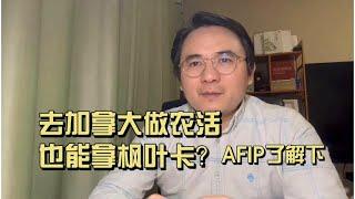 去加拿大做农活也能拿枫叶卡？#加拿大AFIP 了解下 #加拿大移民