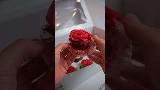 The perfect valentine’s day red velvet cupcake set!