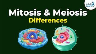 Mitosis Vs Meiosis | Differences | Infinity Learn