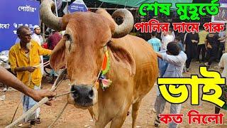 Bhai Koto Nilo 2024 | Gabtoli Cattle Market | Gabtoli Gorur Haat 2024 | Gorur Haat Update p- ১৪