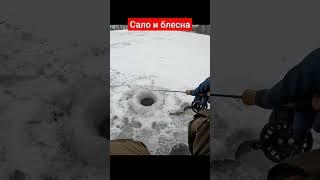 Сало и блесна #рыбалка #fishing #рыбалканижегородскаяобласть