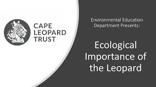 CLT Leopard Lesson - Ecological Importance of the Leopard