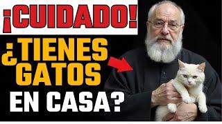 "¿Tienes un GATO? Esto es lo que la BIBLIA dice sobre ti (¡Impactante Revelación!)"